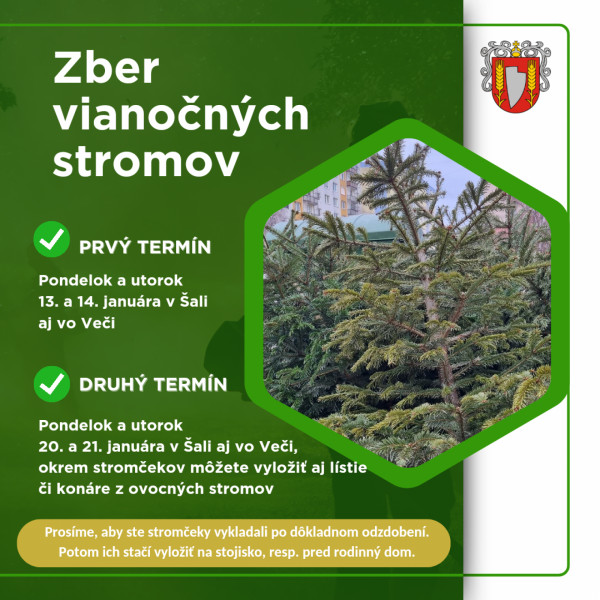 Zber vianočných stromov