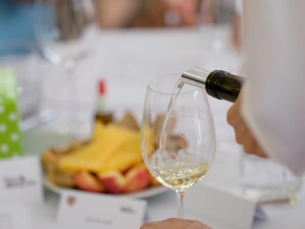 Víno Terra Wag - Šaľa 2016: Degustátori hodnotili vyše 200 vzoriek