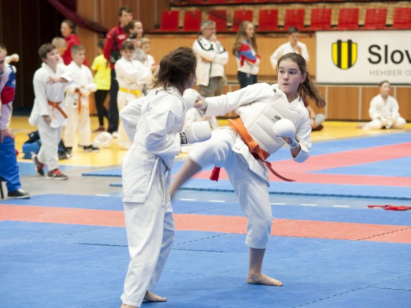 Šalianske karate uspelo v Pezinku