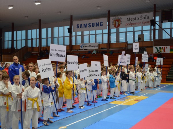 V sobotu sa v Šali konali Majstrovstvá Slovenska v karate a kobudo