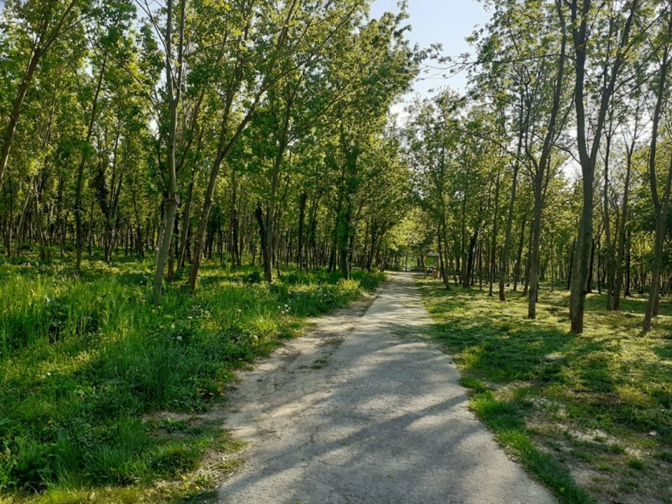 Mesto pokračuje so skrášľovaním lesoparku