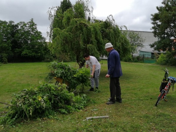 Na ZŠ J. C. Hronského v Šali dobrovoľníci obnovili prírodnú záhradu
